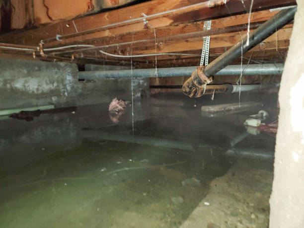Best Flood restoration services  in Cherry Valley, CA