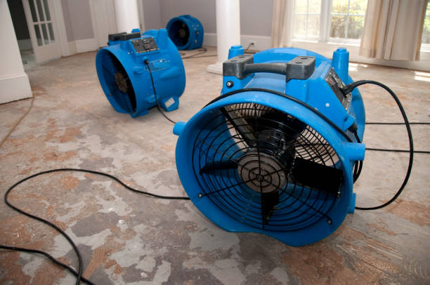 Best Fire Damage Restoration  in Cherry Valley, CA