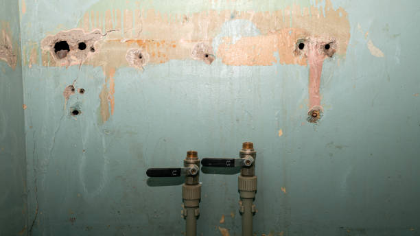 Best Water damage restoration near me  in Cherry Valley, CA
