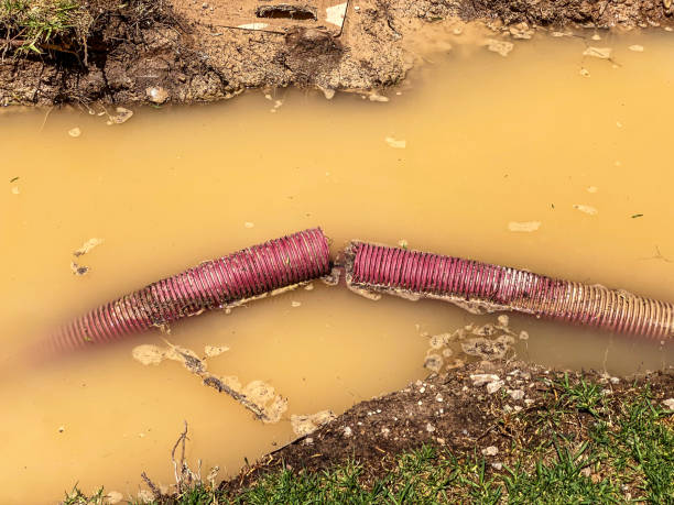 Best Water damage contractors near me  in Cherry Valley, CA