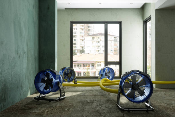 Best 24-hour water damage restoration  in Cherry Valley, CA